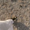 zzra_05
