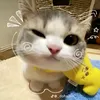mon241012