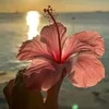 _summer.maisie_