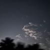 m.dib8