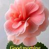 bishal.tamang202