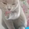 besma.mersni