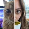 criko_p
