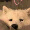 lijensbae