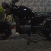 aufa_ganteng2