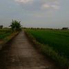 penting_urep87