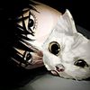 mi.nwooo
