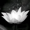 lctao_1984