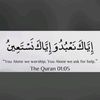 abdulmalikbinfush