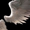 midnight_09091