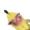 toyousutt
