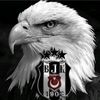 berkaydizek2