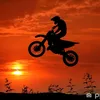 najlepsze.crossy