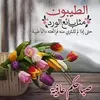 user8150233251572