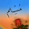 muslim.abdelsalam