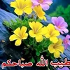 user5159148009625