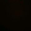 oday_loay55