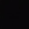 brigida.jaldin
