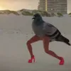 golembiorz