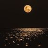 seham_976