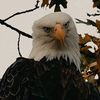 ismail_kehili_02