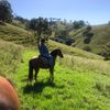 jack_thomas090