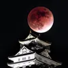 user2481075161611