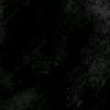 falzz_12366