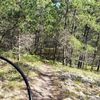 overthebars3