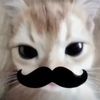 andi.banana.vr0