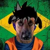 SUPER DOG THOR