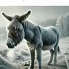donkey.scrotum