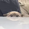 obifour