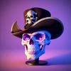 nocturnal__pirate