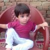 amirshahzad11296