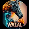 88888walal