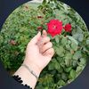 laibaakhan_009