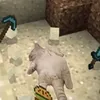 catnyu