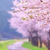 tokugou.han
