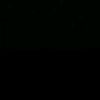 wong_jowo_02