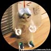 anuluckphaophasoukey2w4y