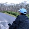 budi.haryanto59