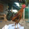 trngnguyn413