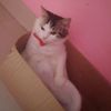 ani.setianingsih4