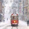 ferhat.gltekin7