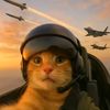 limy_7859