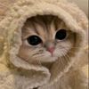 fiza_7804