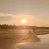 ntnghia_209