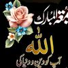shaikdawood042