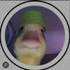 pato_con_sombrero7